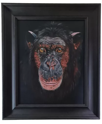 Captivating chimp - Image 2