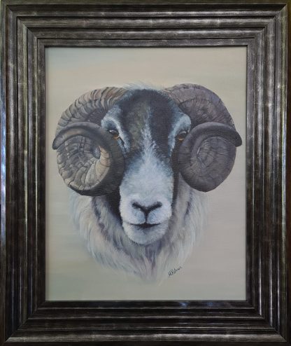 Gentle, slow Ram - Image 2