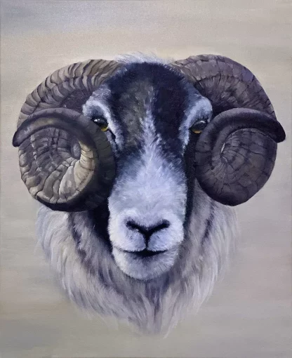 Gentle, slow Ram