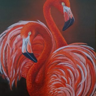Flamingo