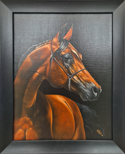 Arabian horse - Image 2
